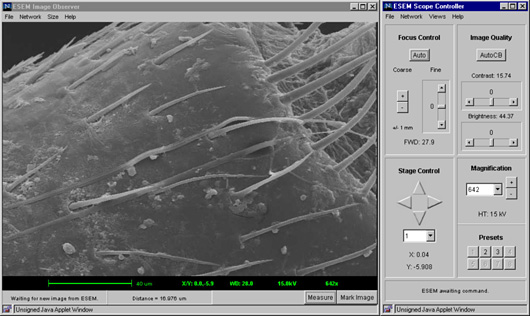 bugscope